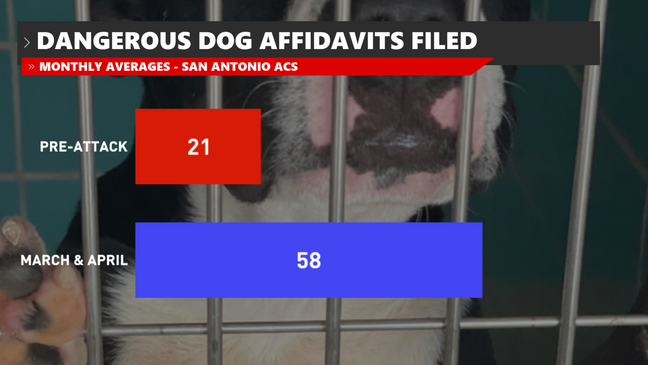 The monthly average for dangerous dog affidavits nearly tripled after the Depla attack