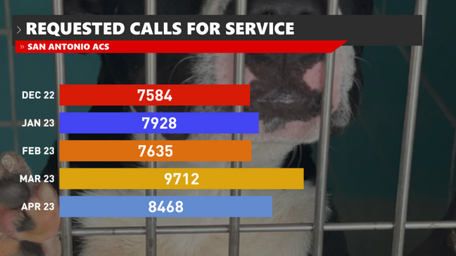 Requested calls for service from ACS in the last few months. The dog attack occurred at the end of February, and calls increased the following months.